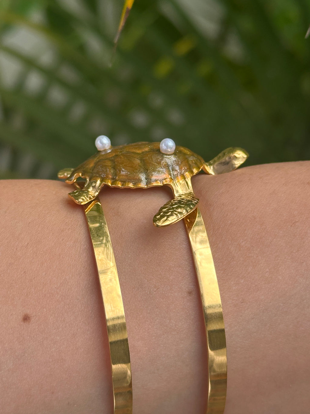 Brazalete Tortuga