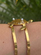 Brazalete Tortuga