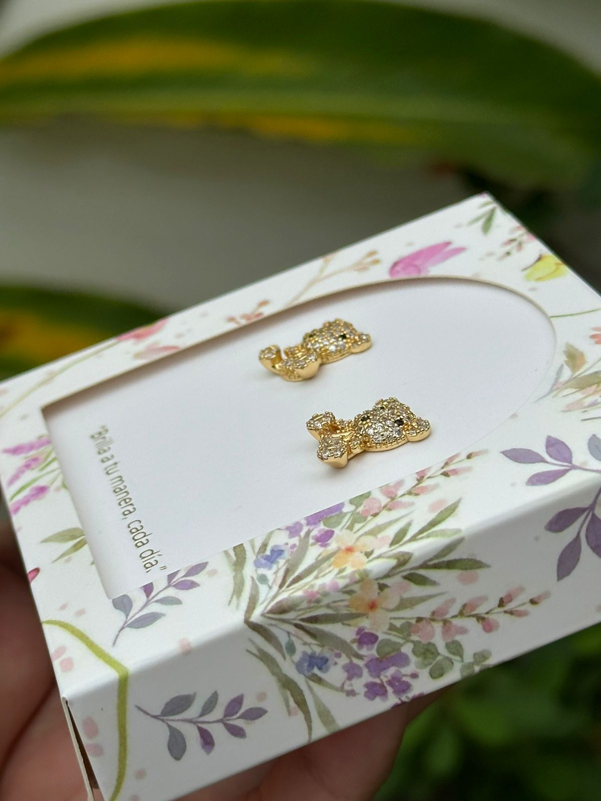 Aretes de Oso Brillante