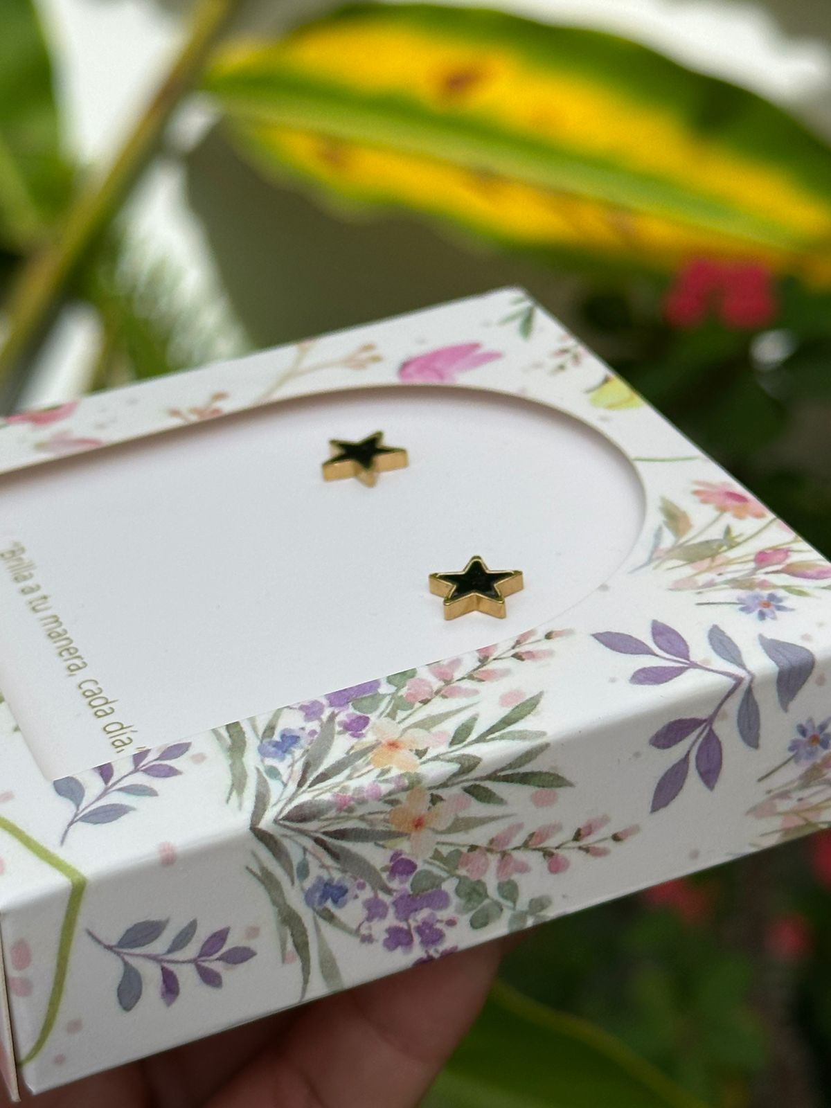 Aretes Esencial Estrella Negro