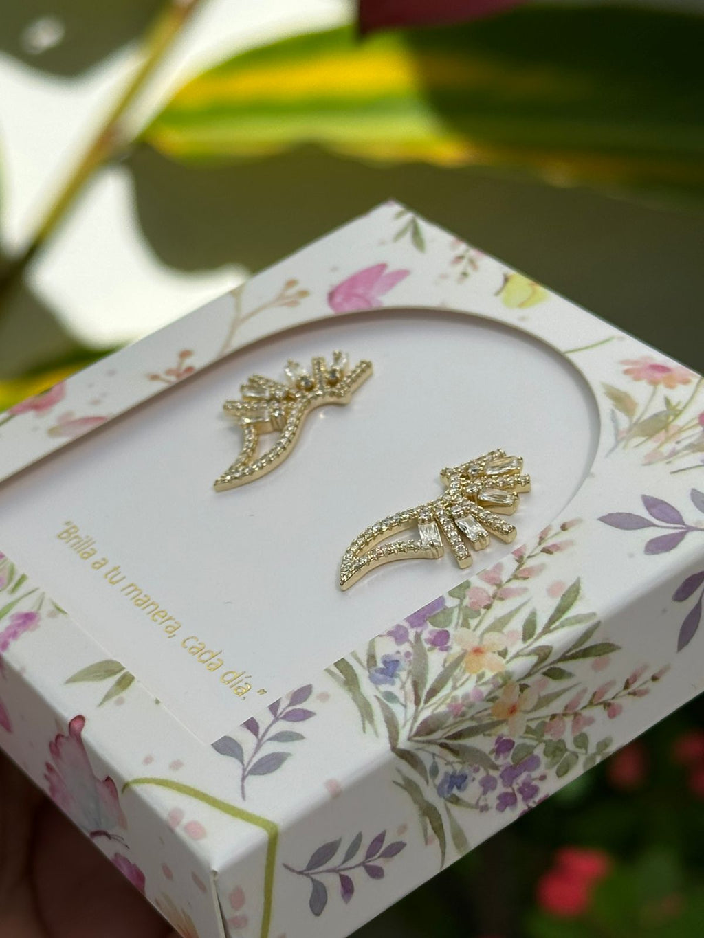 Aretes Alas de Luz