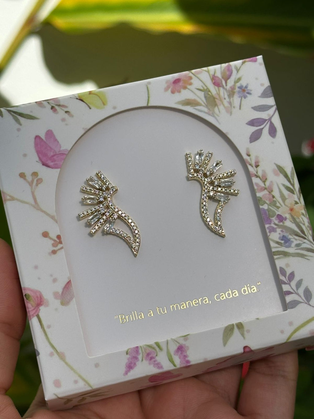 Aretes Alas de Luz