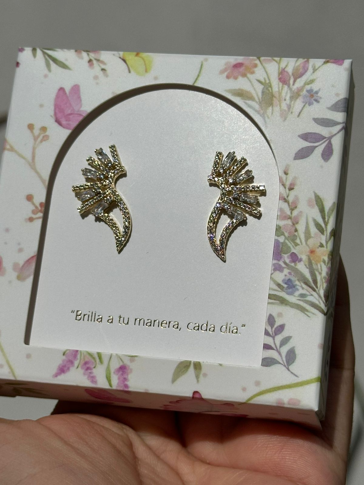 Aretes Alas de Luz